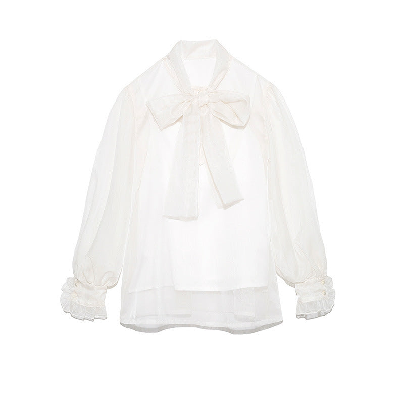 Tulle en mousseline transparente au design élégant et moderne